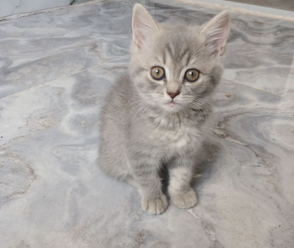 700 000 сум