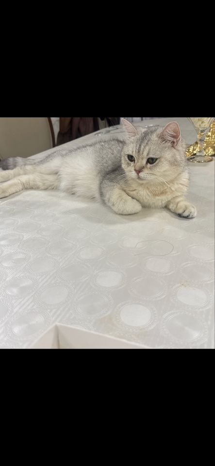 900 000 сум