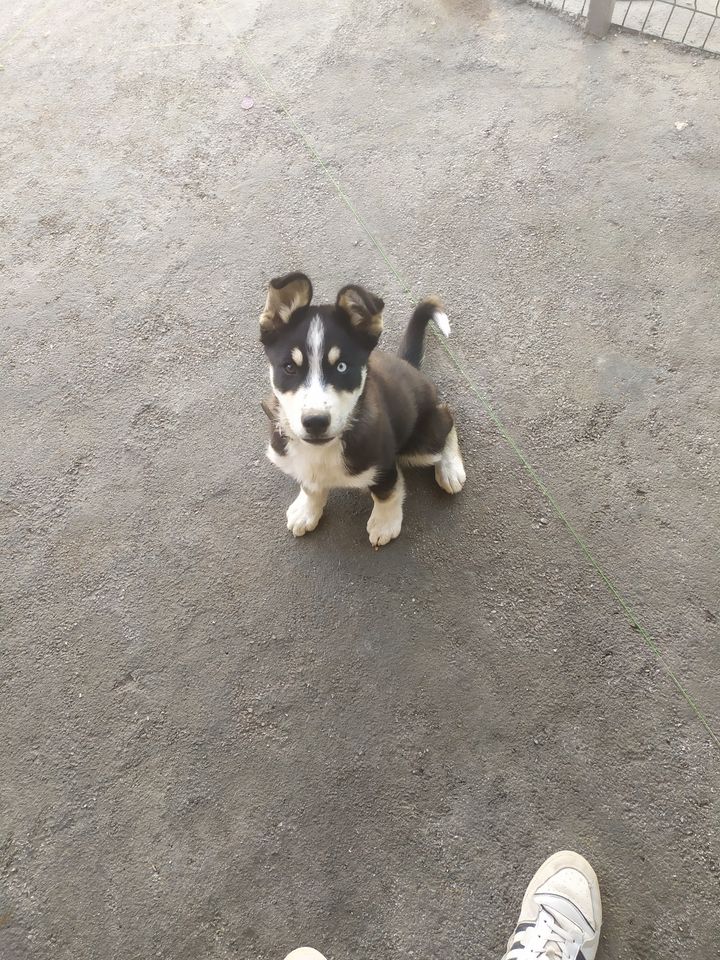 3 000 000 сум