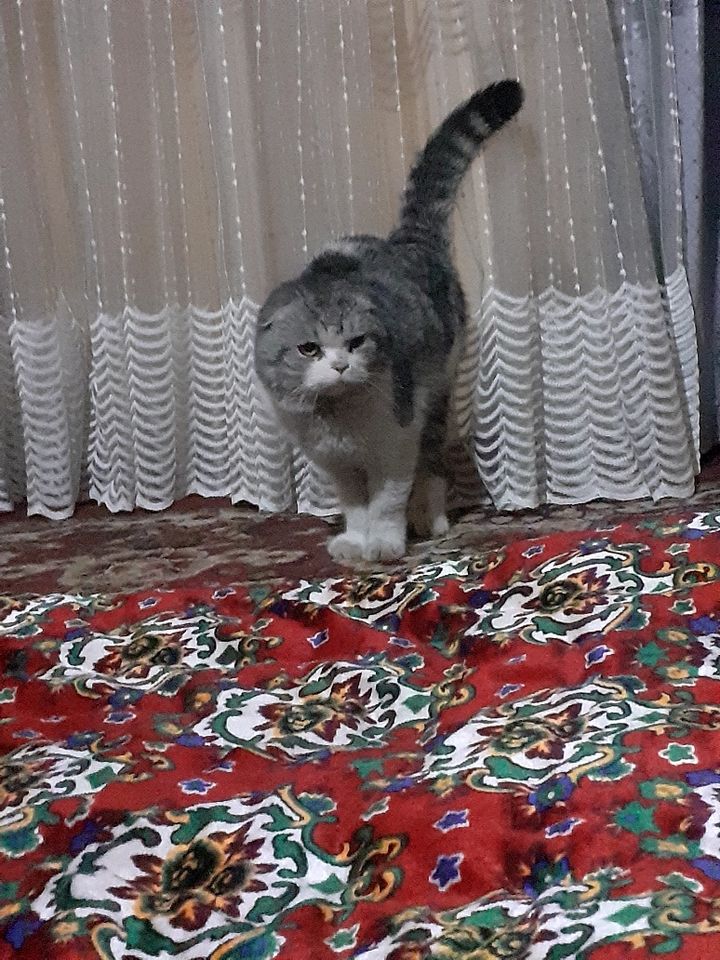 400 000 сум
