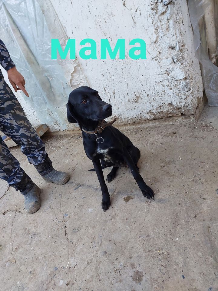 100 USD