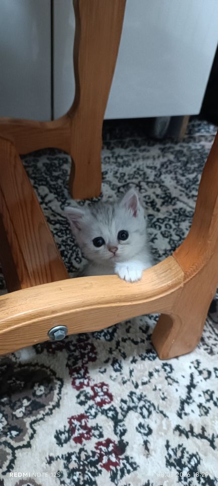 1 000 000 сум