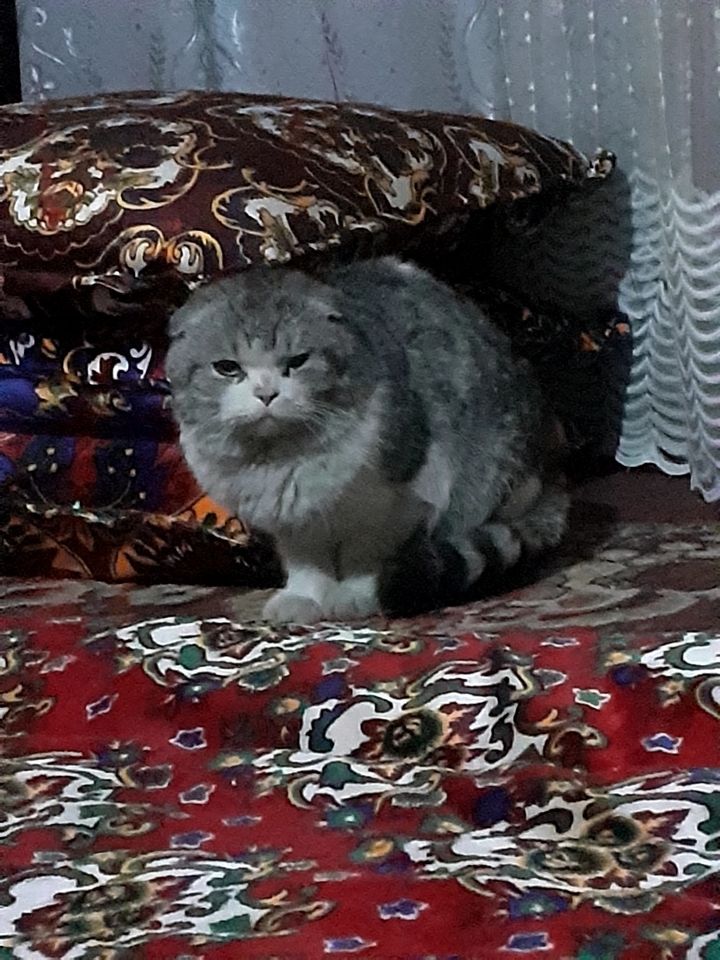 400 000 сум