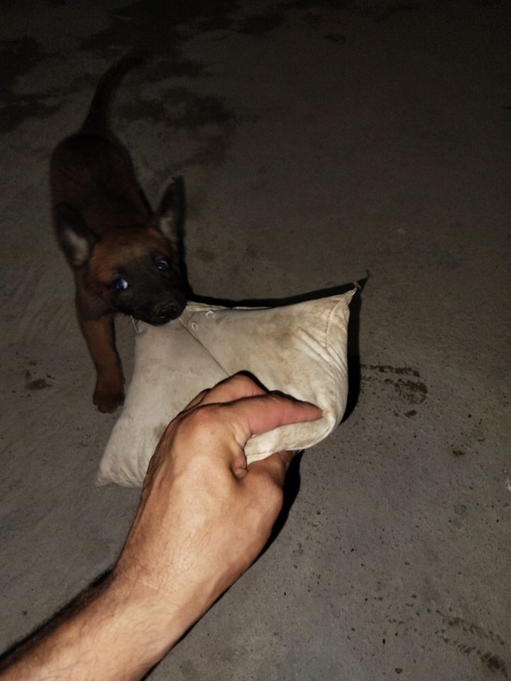 250 USD