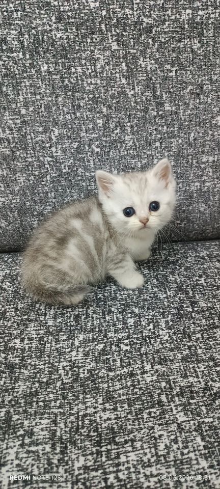 1 000 000 сум