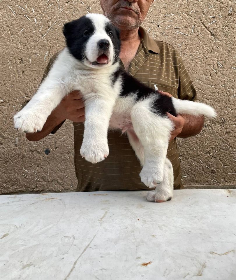 120 USD