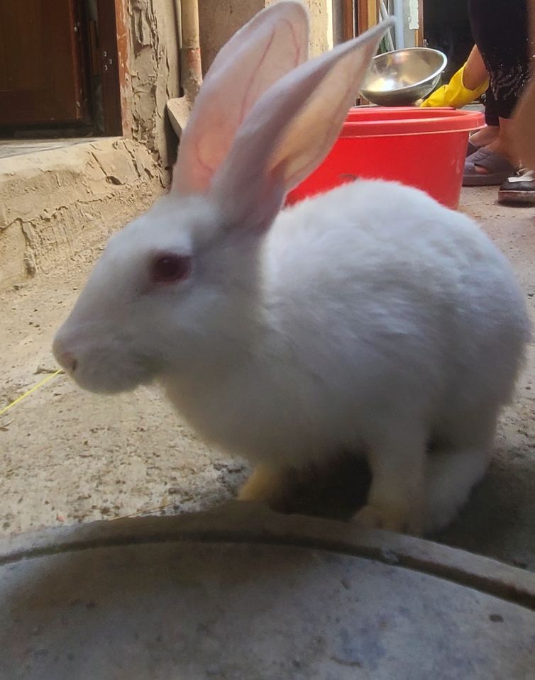 100 000 UZS