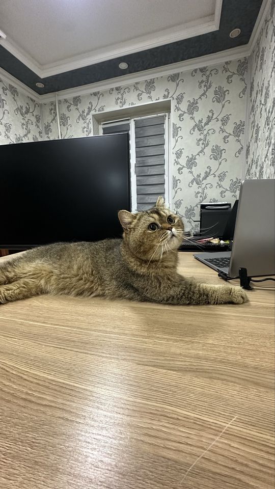 245 000 сум