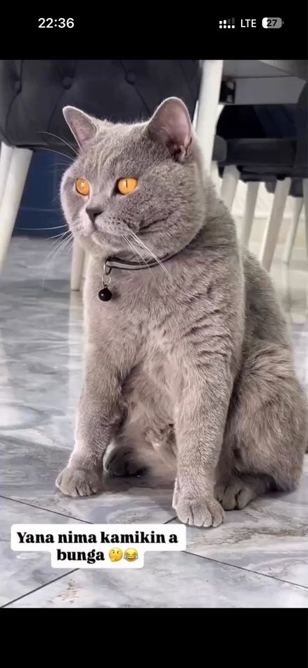 110 USD