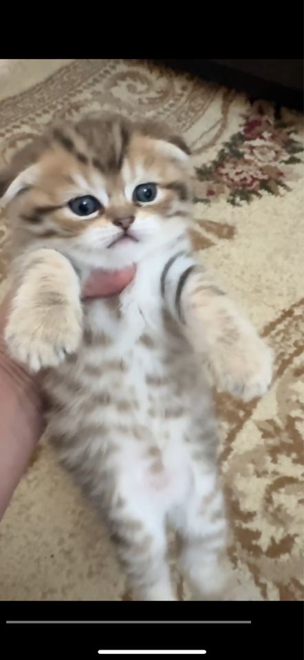 50 USD