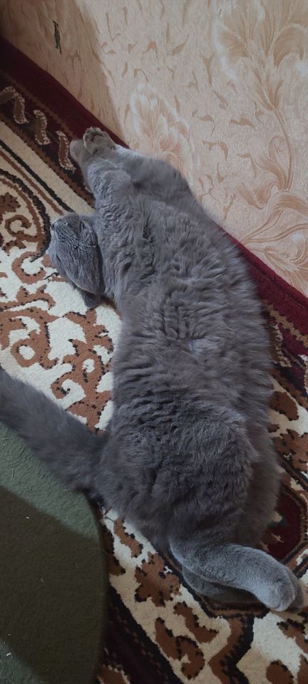 200 000 сум