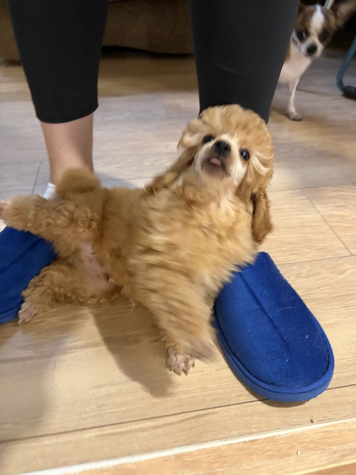 4 000 000 сум