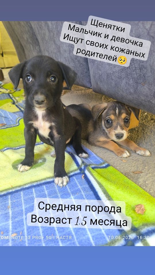 Бесплатно