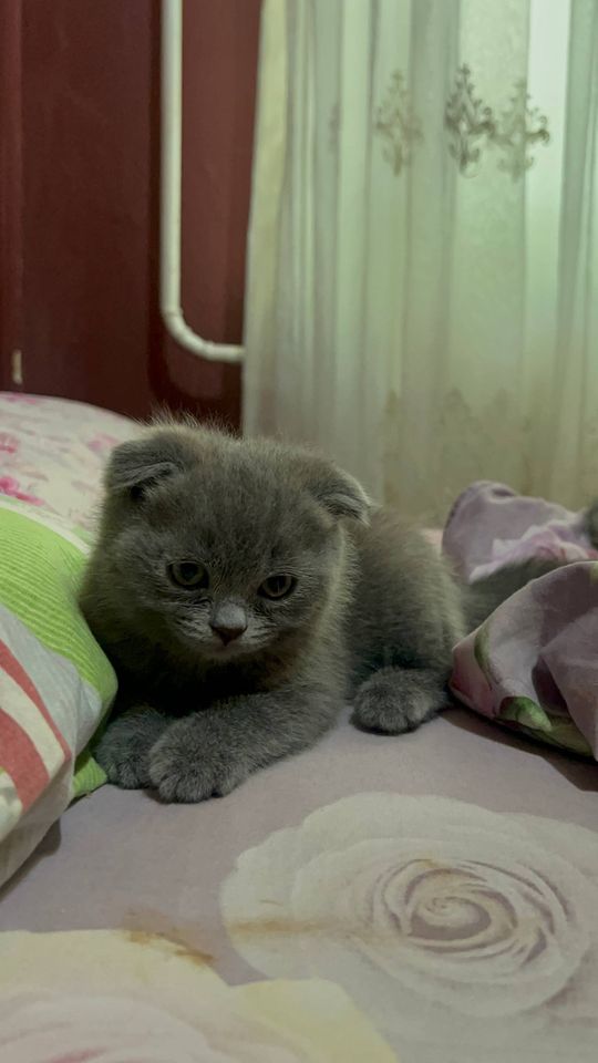 1 000 000 сум