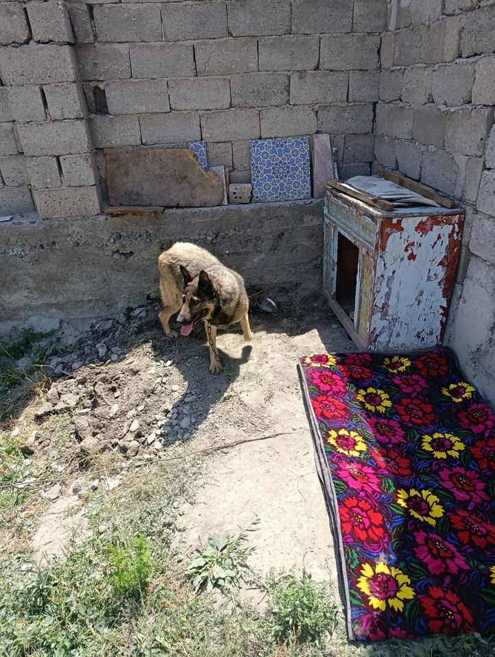 300 USD