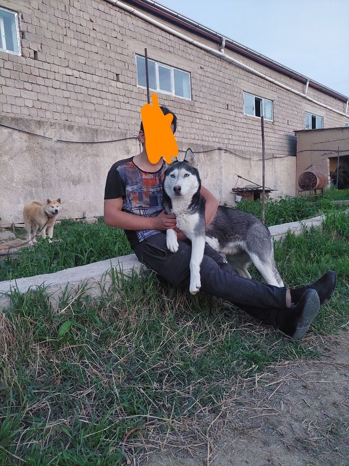 50 USD