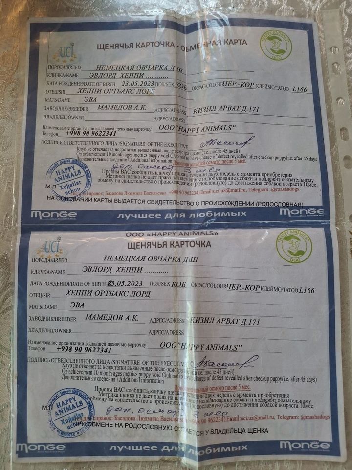 200 USD