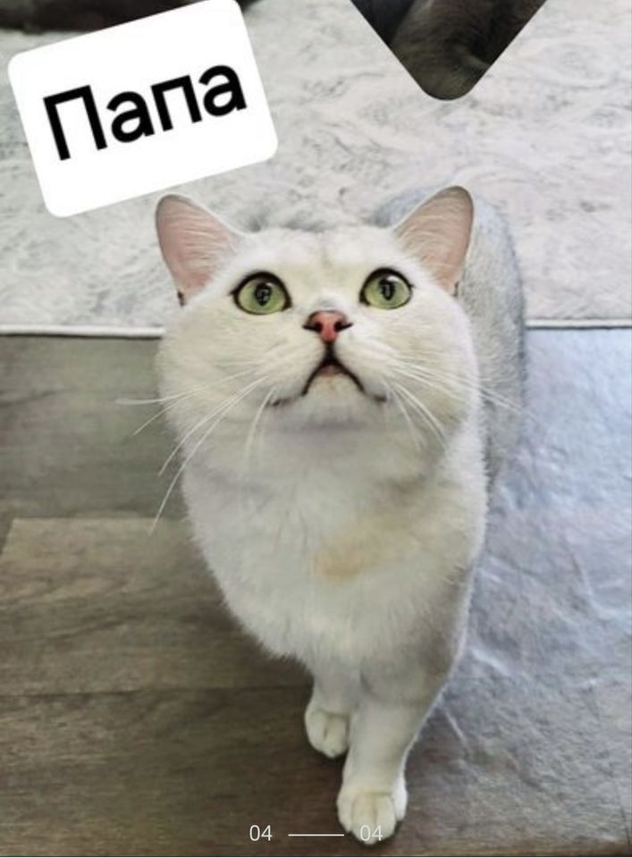 50 USD