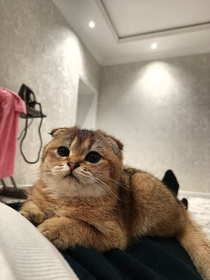150 USD