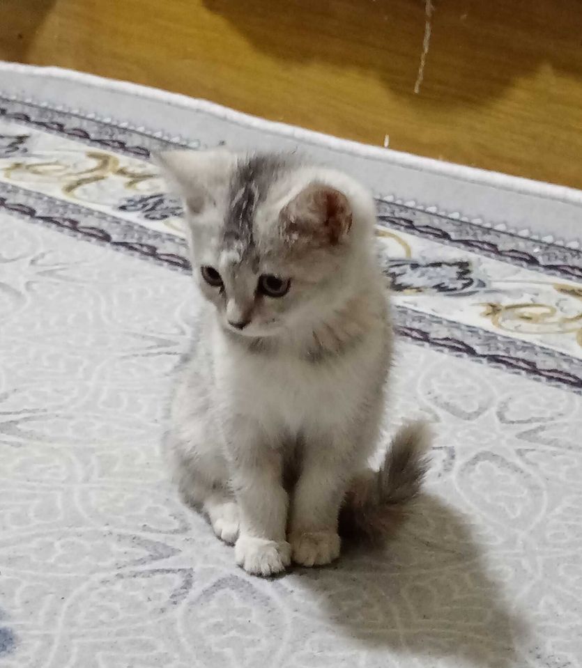 1 200 000 сум