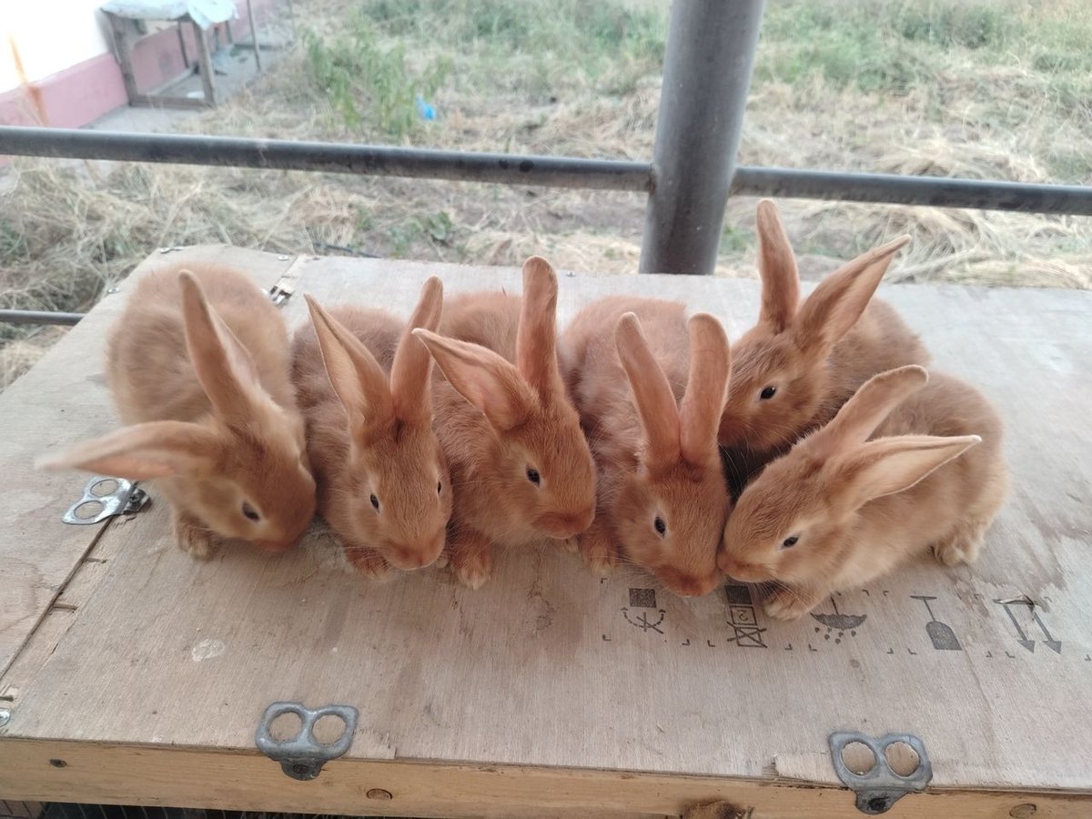 150 000 сум