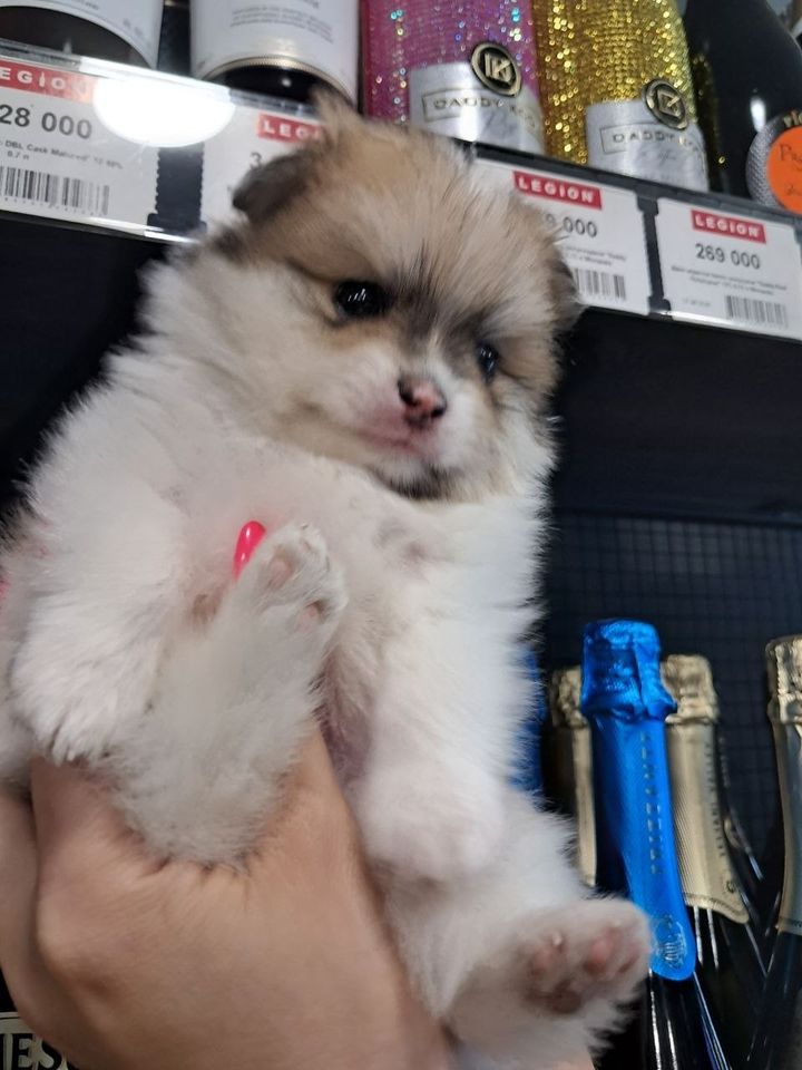 250 USD