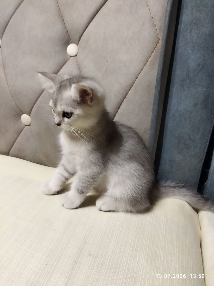 800 000 сум