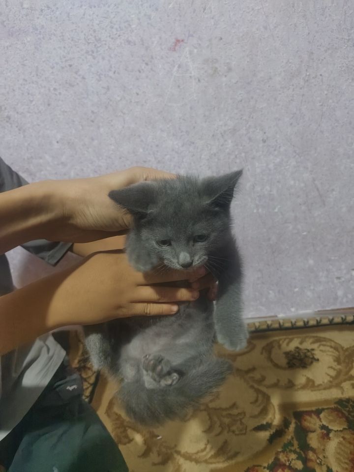 300 000 сум