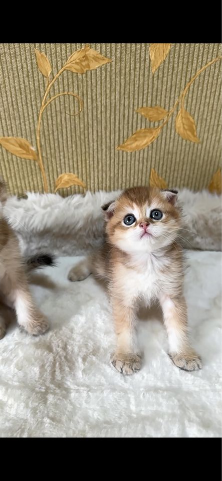150 USD