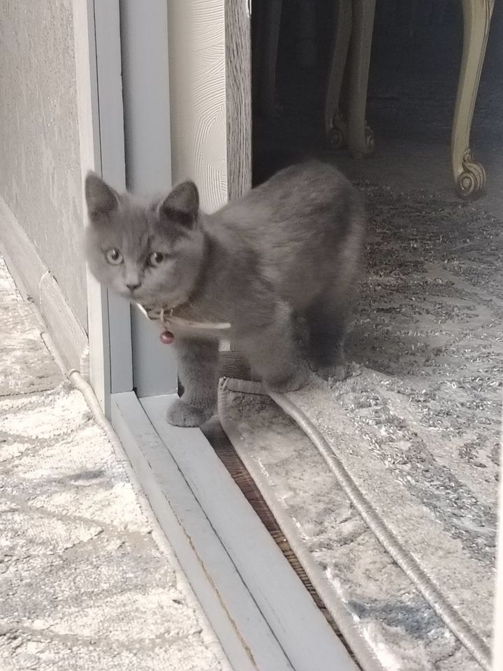 800 000 сум