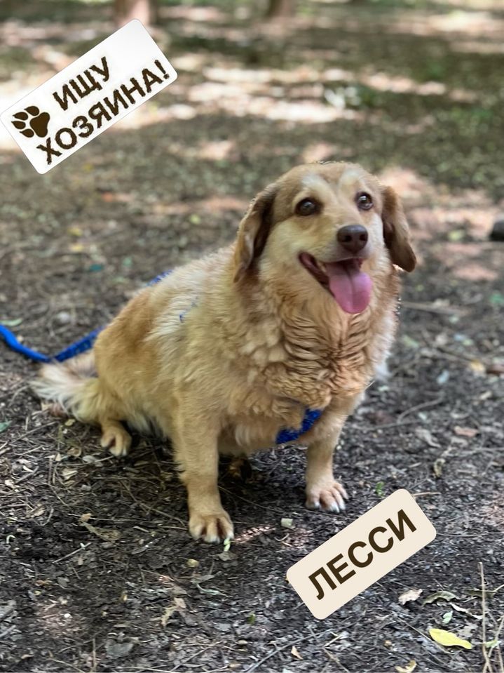 Бесплатно