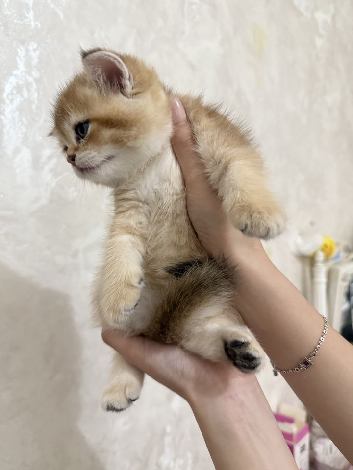 90 USD