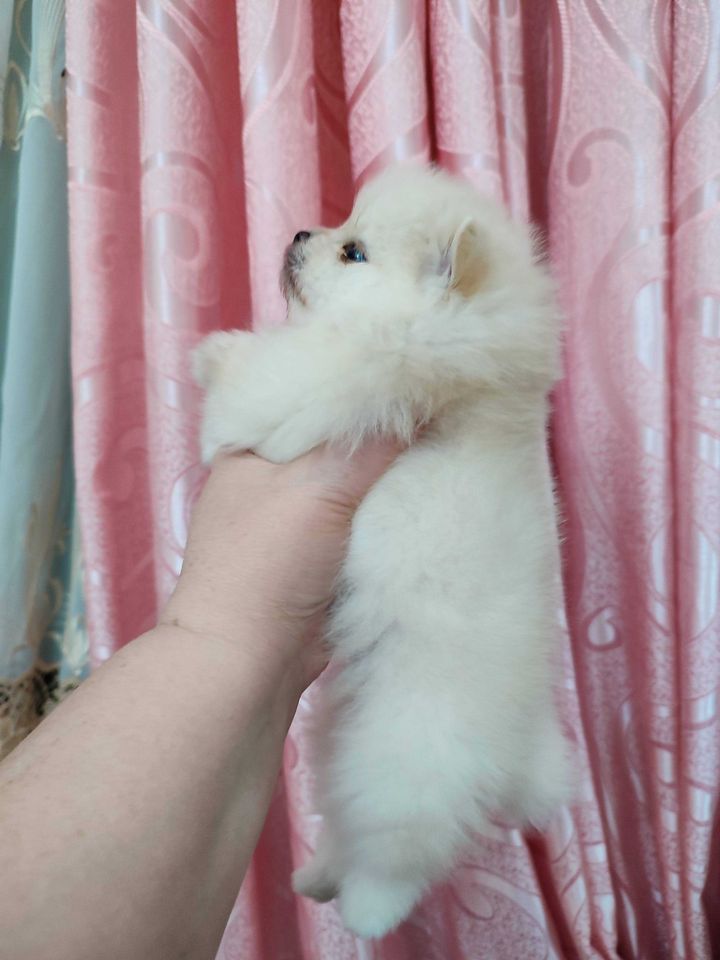 400 USD