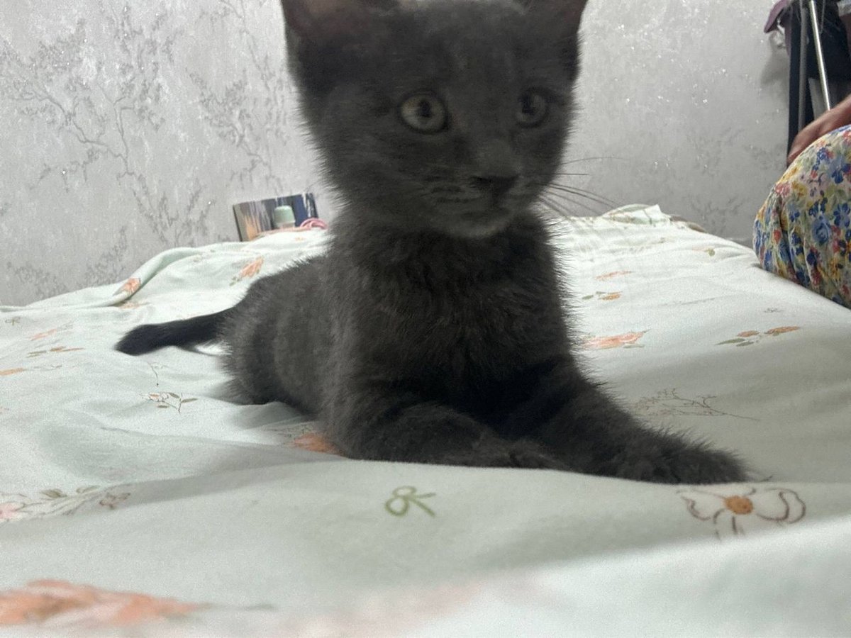 550 000 UZS