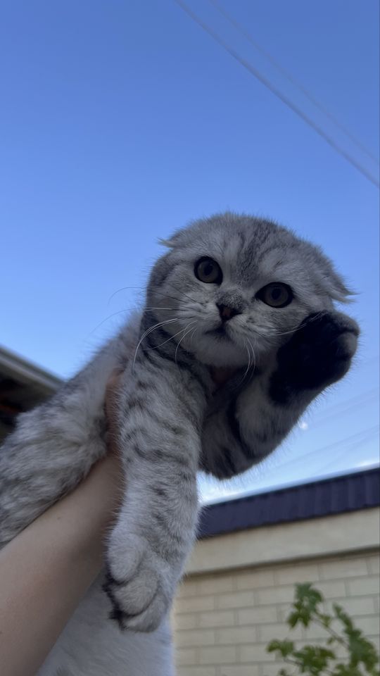 120 USD