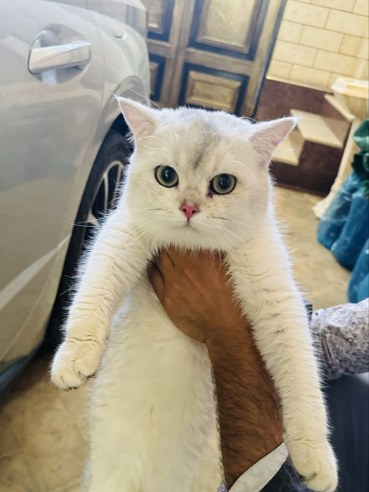 50 USD