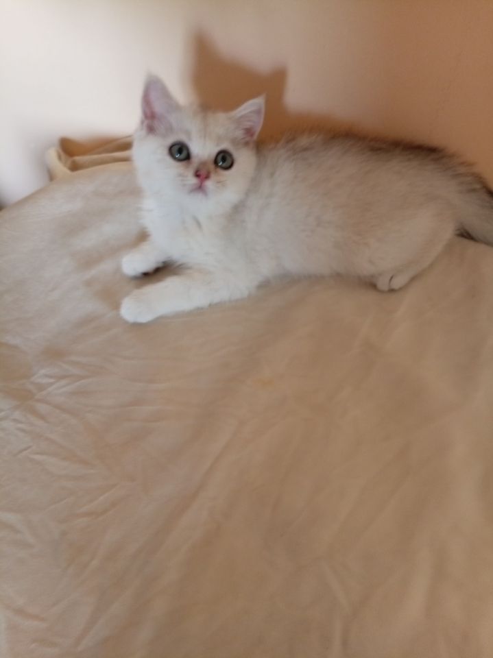 120 USD