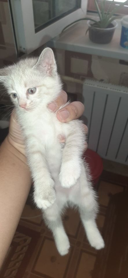 100 000 сум
