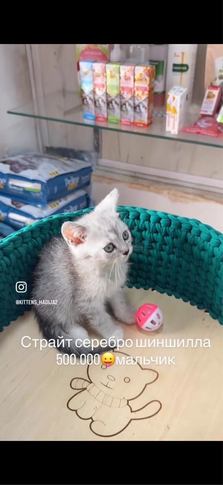 400 000 сум