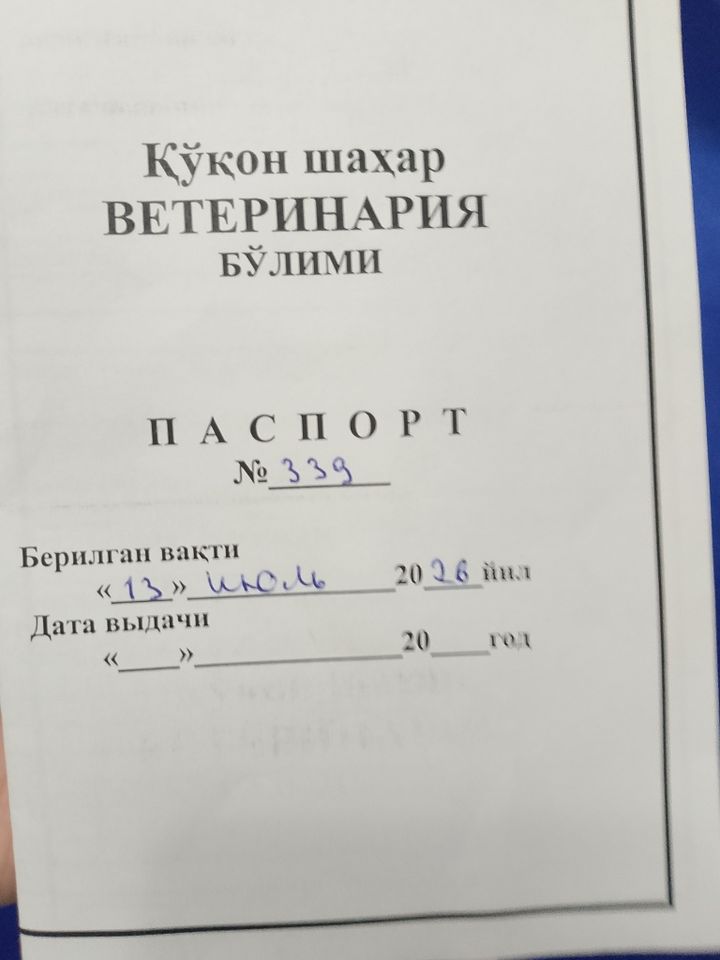 300 USD