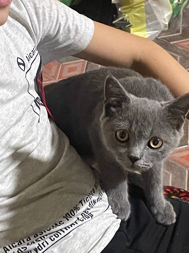 1 000 000 сум