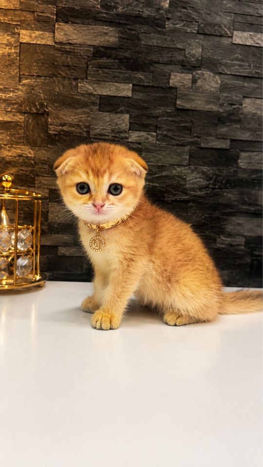 150 USD