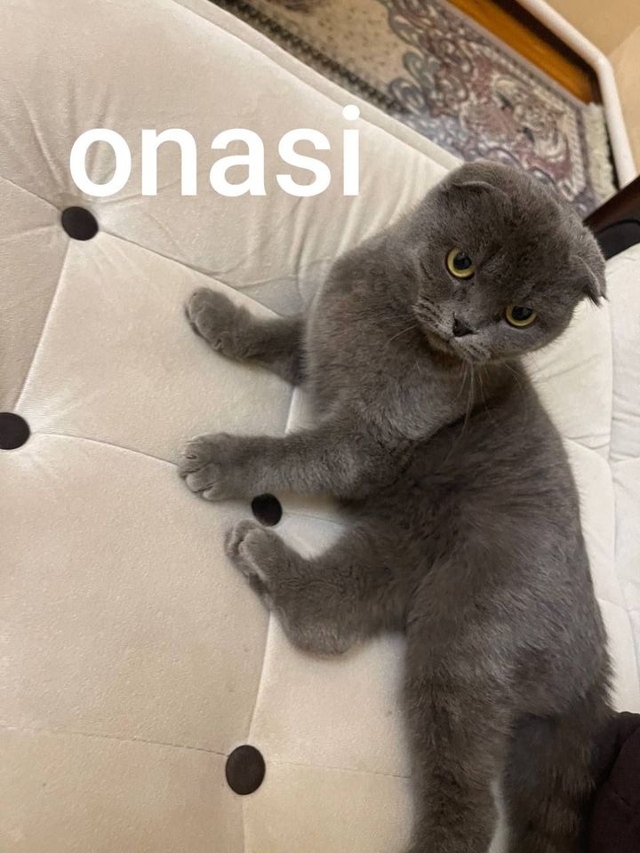 350 000 сум