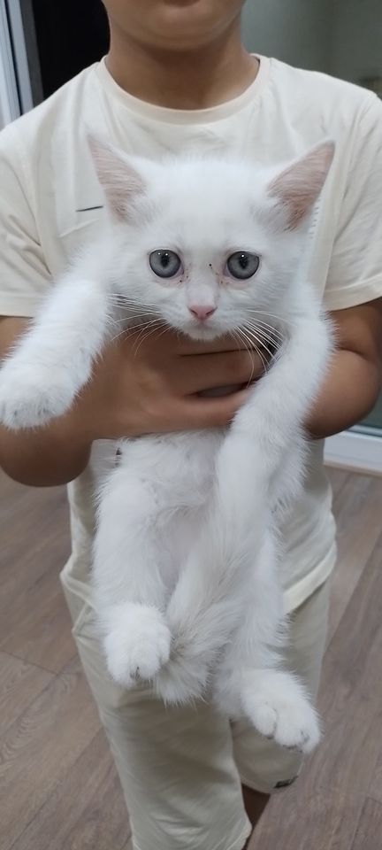 50 USD