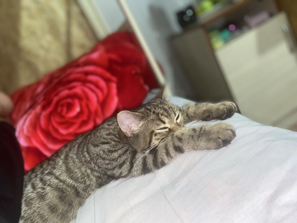 200 000 сум