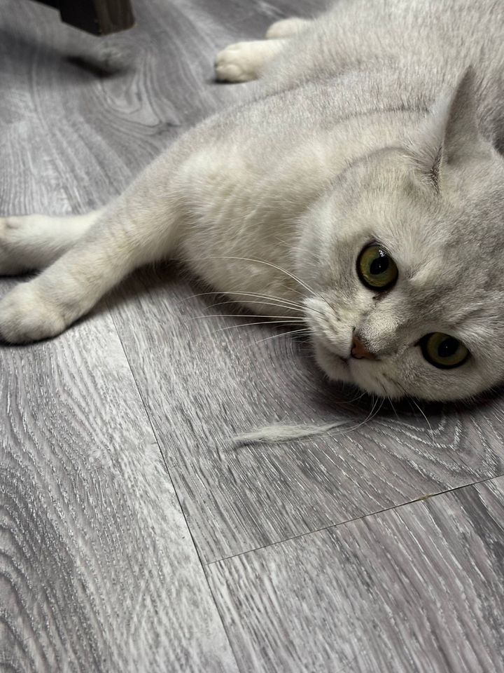 250 000 сум