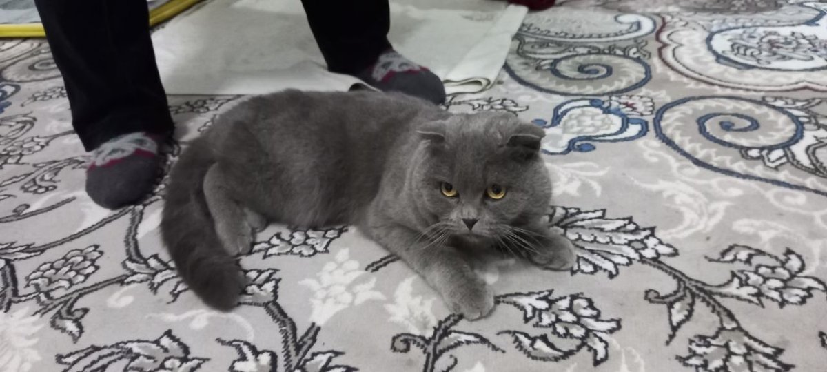 200 000 сум