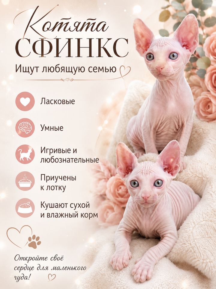 800 000 сум