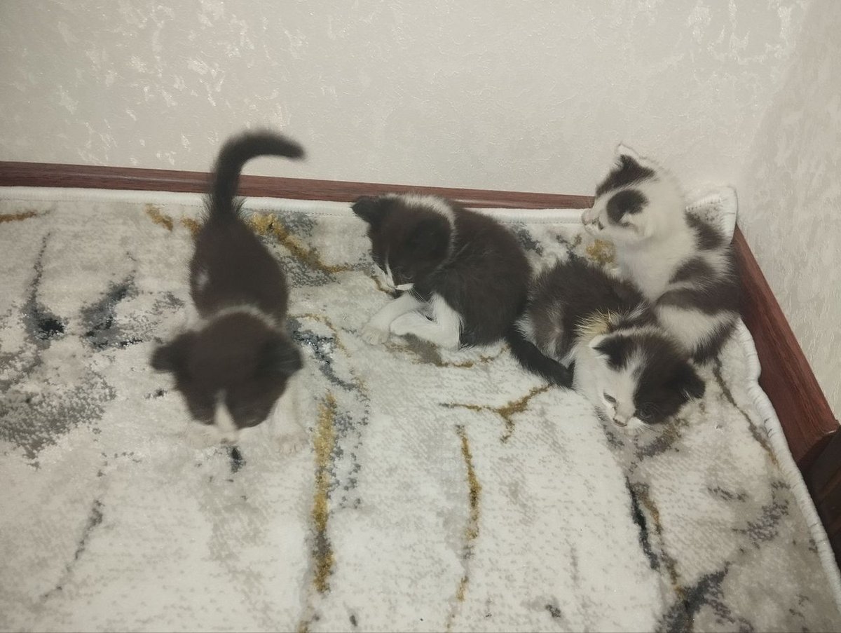 350 000 сум