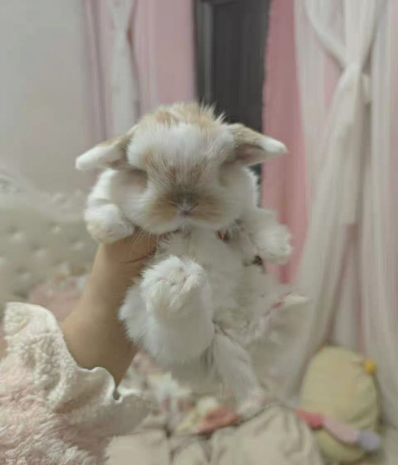 200 000 сум